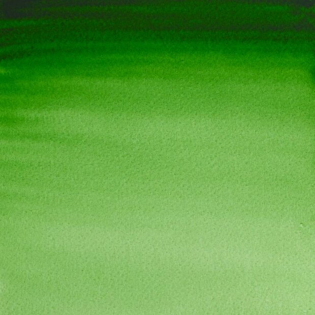 Hookers Green (S1) Professioneel Aquarelverf van Winsor &amp; Newton 5 ml Kleur 311