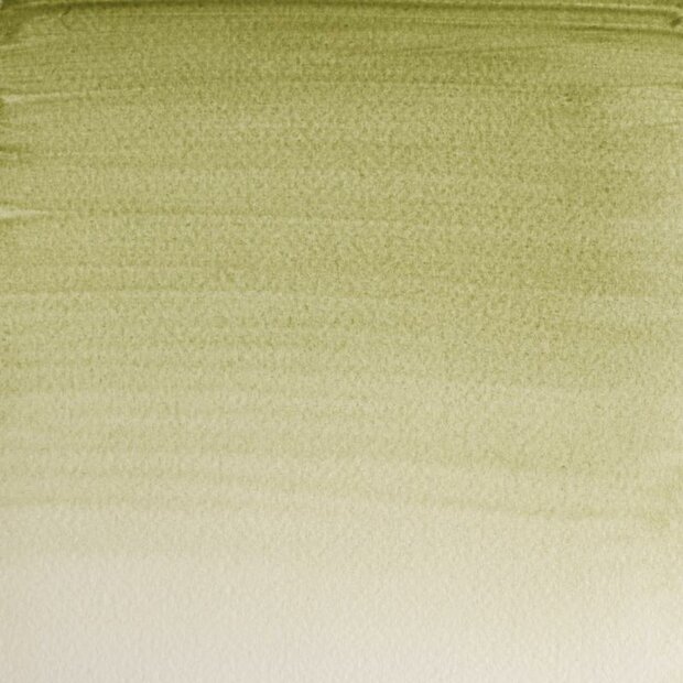 Terre Verte (Yellow shade) (S1) Professioneel Aquarelverf van Winsor &amp; Newton 5 ml Kleur 638