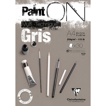 A4 Paint'ON Gris / Grijs 30 vellen 250 grams van Clairefonaine