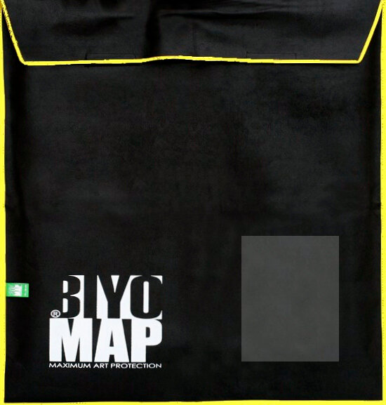 85 x 85 Biyomap