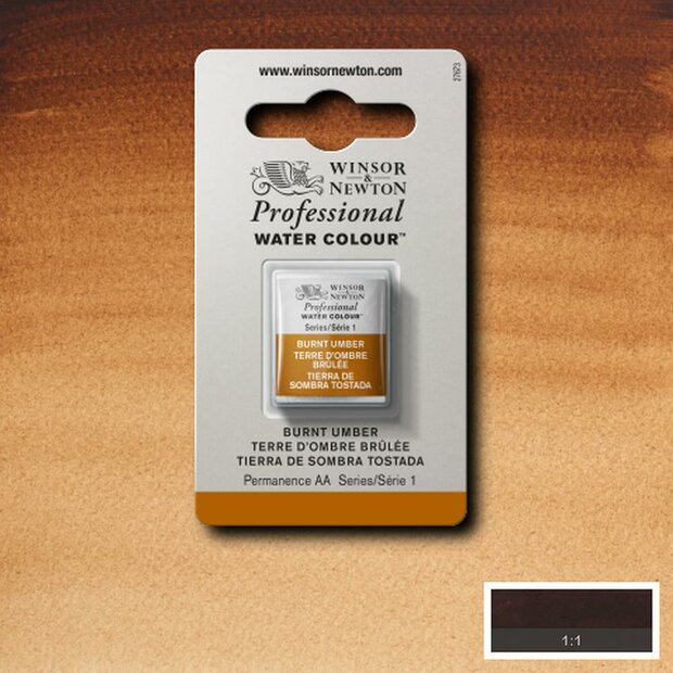 Burnt Umber Serie 1 Professional Watercolour Half Napje van Winsor &amp; Newton Kleur 076