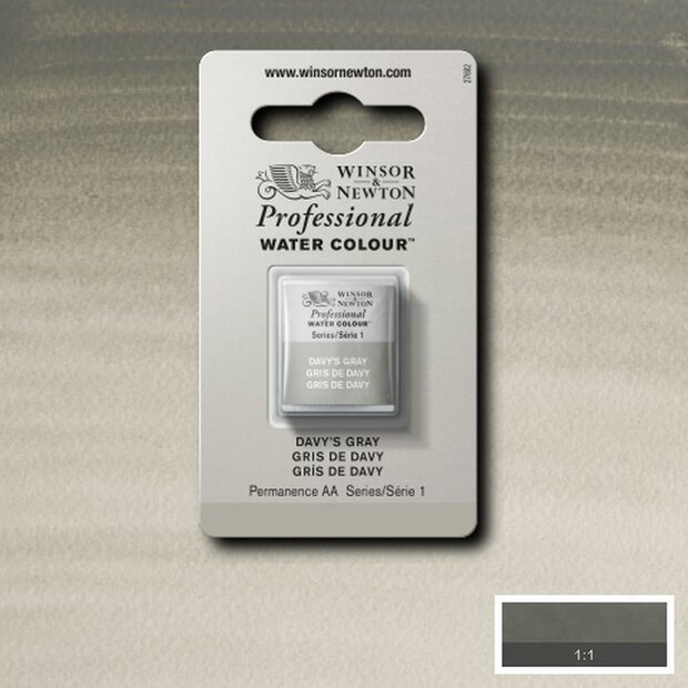 Davy's Gray Serie 1 Professional Watercolour Half Napje van Winsor &amp; Newton Kleur 217