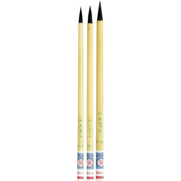 5 Chinese kunstenaarpenselen set