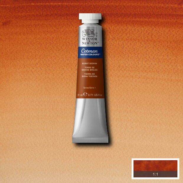 Burnt Sienna Cotman Water Colour / Aquarelverf van Winsor &amp; Newton 21 ML Kleur 074