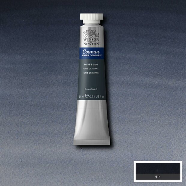Paynes Grey Cotman Water Colour / Aquarelverf van Winsor &amp; Newton 21 ML Kleur 465