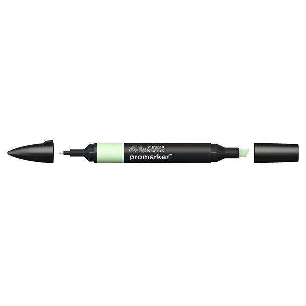 Meadow Green ProMarker Winsor &amp; Newton Kleur G339