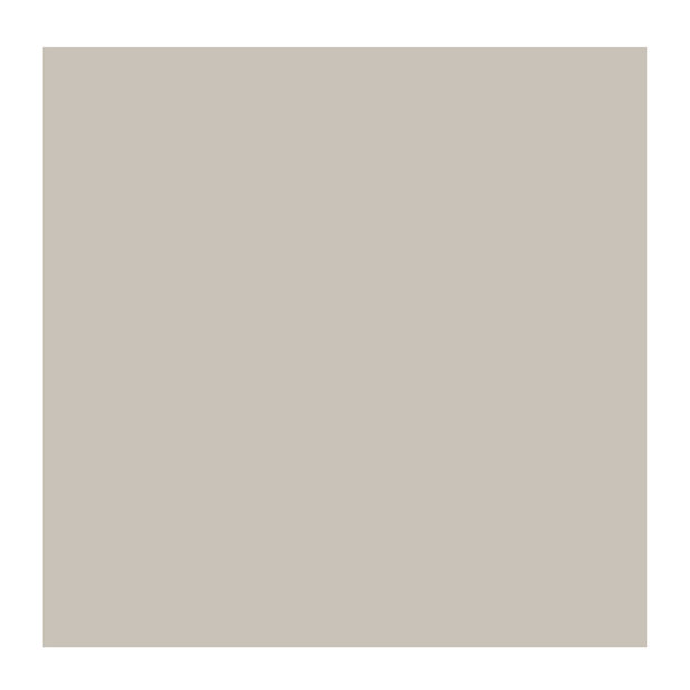 Zilver Cobra Artist watermengbare olieverf 40 ML (S 3) Kleur 800