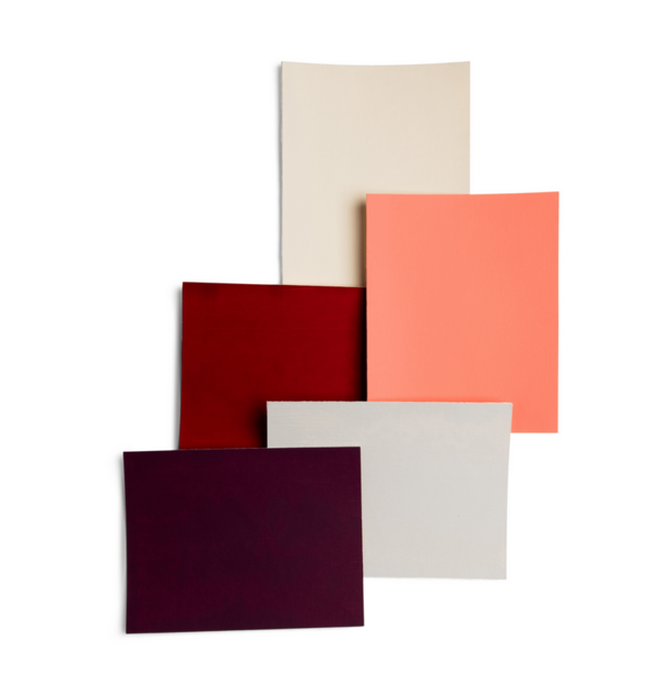 5x 250 ML Amsterdam Creative Wall Paint Color Set &ndash; Bold Harmony