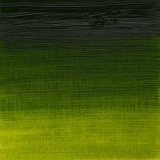 Sap Green Artists Oil Colour Winsor &amp; Newton 200 ML Kleur 599