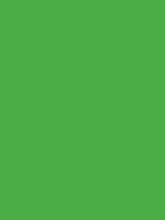 Carr&eacute; Krijt Cont&eacute; &agrave;&nbsp;Paris Light Green Kleur 008