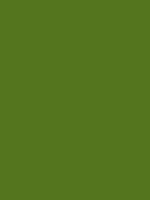 Carr&eacute; Krijt Cont&eacute; &agrave;&nbsp;Paris Olive Green Kleur 016