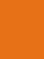 Carr&eacute; Krijt Cont&eacute; &agrave;&nbsp;Paris Raw Sienna Kleur 018