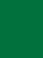 Carr&eacute; Krijt Cont&eacute; &agrave;&nbsp;Paris Mineral Green Kleur 030
