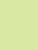 Carr&eacute; Krijt Cont&eacute; &agrave;&nbsp;Paris Lime Green Kleur 050