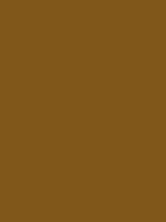 Carr&eacute; Krijt Cont&eacute; &agrave;&nbsp;Paris Raw Umber Kleur 054
