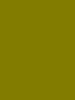 Carr&eacute; Krijt Cont&eacute; &agrave;&nbsp;Paris Leaf Green Kleur 076