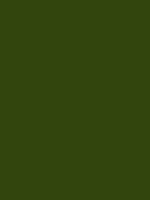 Carr&eacute; Krijt Cont&eacute; &agrave;&nbsp;Paris Armor Green Kleur 077