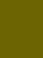Carr&eacute; Krijt Cont&eacute; &agrave;&nbsp;Paris Darkgreen Grey Kleur 078