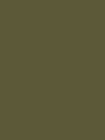 Carr&eacute; Krijt Cont&eacute; &agrave;&nbsp;Paris Brown Grey Kleur 081
