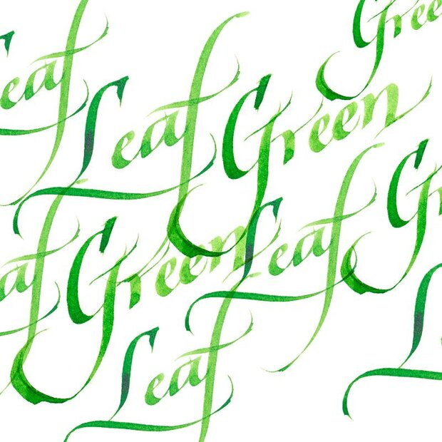 Leaf Green Calligraphy Ink van Winsor &amp; Newton 30 ML Kleur 341