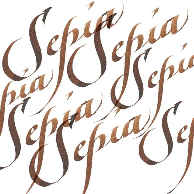 Sepia Calligraphy Ink van Winsor &amp; Newton 30 ML Kleur 609
