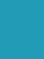 Blue Green - Copic Sketch Marker Kleur BG09