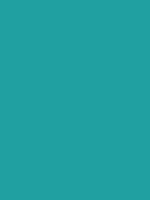Duck Blue - Copic Sketch Marker Kleur BG49