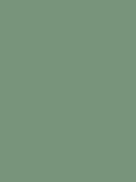 Bush - Copic Sketch Marker Kleur BG96