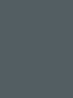 Cool Gray No.7 - Copic Sketch Marker Kleur C7