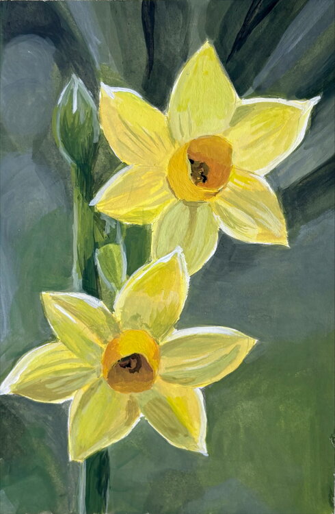 Voorbeeld voor de workshop Schilderen met Gouache 'Narcis' bij Kunstburg in Neede