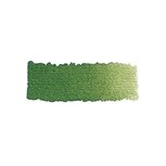 Chromium Oxide Green kleur 512 (serie 2) 1/2 napje Schmincke Horadam Aquarelverf Chromium Oxide Green kleur 512 (serie 2) 1/2 napje Schmincke Horadam Aquarelverf