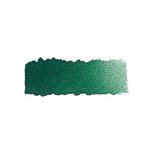 Hooker's Green kleur 521 (serie 1) 1/2 napje Schmincke Horadam Aquarelverf Hooker's Green kleur 521 (serie 1) 1/2 napje Schmincke Horadam Aquarelverf
