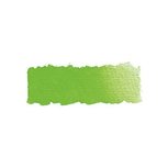 May Green kleur 524 (serie 2) 1/2 napje Schmincke Horadam Aquarelverf May Green kleur 524 (serie 2) 1/2 napje Schmincke Horadam Aquarelverf
