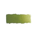 Olive Green Yellowish kleur 525 (serie 2) 1/2 napje Schmincke Horadam Aquarelverf Olive Green Yellowish kleur 525 (serie 2) 1/2 napje Schmincke Horadam Aquarelverf