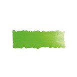 Permanent Green kleur 526 (serie 2) 1/2 napje Schmincke Horadam Aquarelverf Permanent Green kleur 526 (serie 2) 1/2 napje Schmincke Horadam Aquarelverf