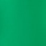 Briliant Green (S 1) Designers Gouache van Winsor & Newton 14 ML Kleur 046 Briliant Green (S 1) Designers Gouache van Winsor & Newton 14 ML Kleur 046