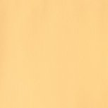 Naples Yellow (S 1) Designers Gouache van Winsor & Newton 14 ML Kleur 422 Naples Yellow (S 1) Designers Gouache van Winsor & Newton 14 ML Kleur 422