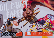 42 x 29.7 cm A3 Cobra olieverfpapier 300 grams 10 vel 42 x 29.7 cm A3 Cobra olieverfpapier 300 grams 10 vel