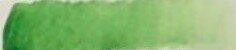 Jungle Green (1410) Derwent Inktense potlood Jungle Green (1410) Derwent Inktense potlood