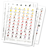266 kleuren Dots Card Set Aquarelverf Daniel Smith (Extra fine Watercolour) 266 Dots 266 kleuren Dots Card Set Aquarelverf Daniel Smith (Extra fine Watercolour) 266 Dots