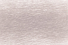 Fossil Grey Drawing Pencil / Potlood van Derwent Kleur 7140 Fossil Grey Drawing Pencil / Potlood van Derwent Kleur 7140