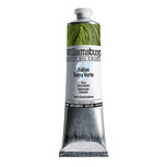 Sf Italian Green Earth / Sf Italiaans Groen Aarde (S3) Williamsburg Olieverf 150 ML Kleur 3013 Sf Italian Green Earth / Sf Italiaans Groen Aarde (S3) Williamsburg Olieverf 150 ML Kleur 3013