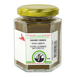 Raw Umber Old Holland - Pigment poeder pot 110 gram