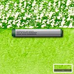 Permanent Sap Green Water Colour Sticks van Winsor & Newton Kleur 503 Permanent Sap Green Water Colour Sticks van Winsor & Newton Kleur 503