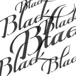 Black Calligraphy Ink van Winsor & Newton 30 ML Kleur 030 Mat Black Calligraphy Ink van Winsor & Newton 30 ML Kleur 030 Mat