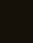 Procolour potlood Burnt Umber Derwent Kleur 55 Procolour potlood Burnt Umber Derwent Kleur 55