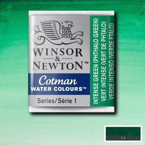 Intense Green half napje van Winsor & Newton Cotman Water Colours Kleur 329