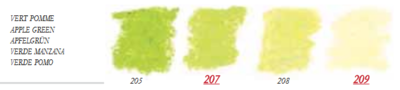 Appelgroen Extra soft pastels / Pastel à l'ecu Sennelier Kleur 205