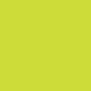 Lime Green Winsor & Newton Promarker Brush Kleur G178