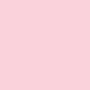 Pale Pink Winsor & Newton Promarker Brush Kleur R519